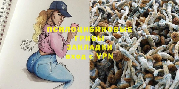 таблы Богданович