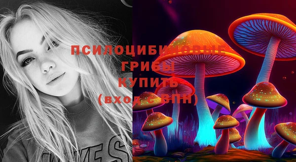 не бодяженный Богородицк