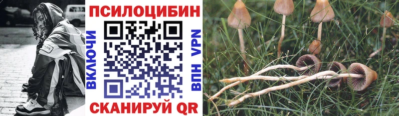 Купить закладки  Анива  Галлюциногенные грибы Psilocybe 